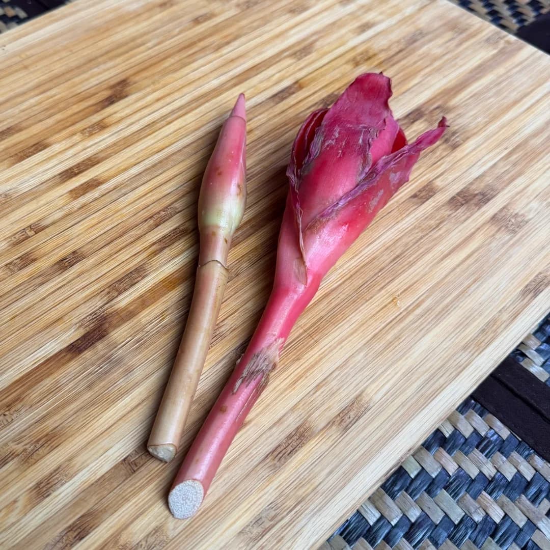 Bunga Kantan: Apa Itu, Cara Pilih, Cara Simpan & Cara Guna Dalam Masakan