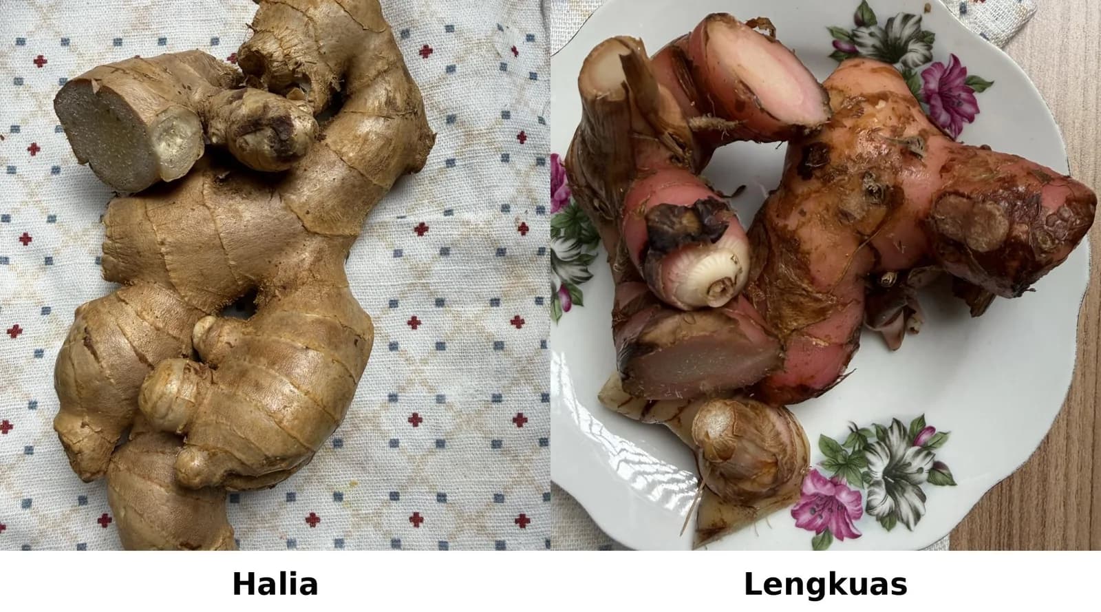 Beza Halia vs Lengkuas — Cara Kenal Paling Senang, Bila Patut Guna & Apa Jadi Kalau Tersalah