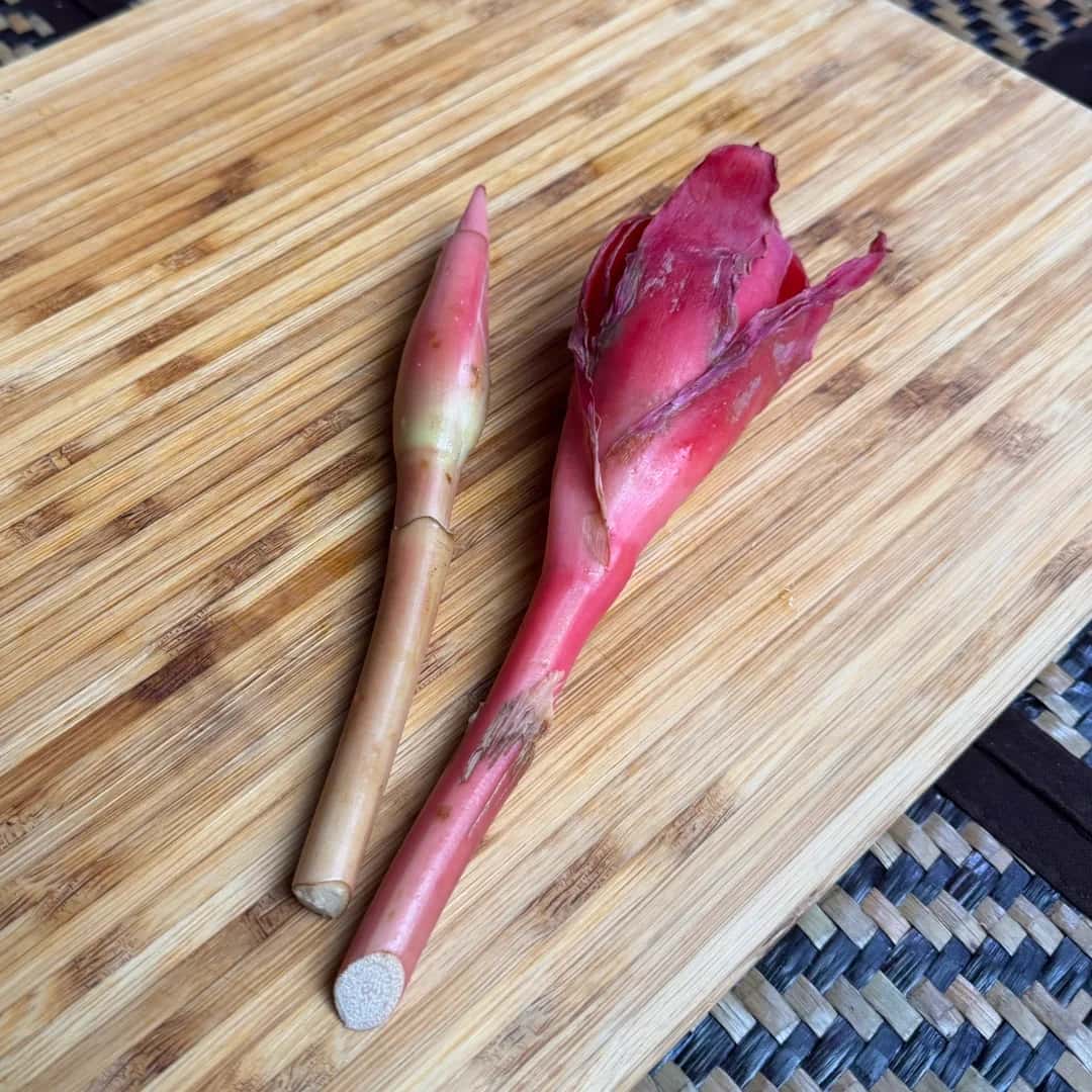 Bunga Kantan: Apa Itu, Cara Pilih, Cara Simpan & Cara Guna Dalam Masakan