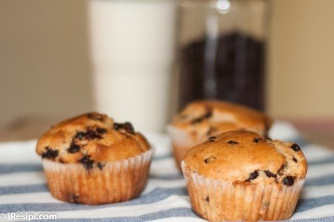 Chocolate Chip Muffin